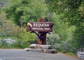 Как добраться в национальный парк Секвойя из Лос-Анджелеса и Сан-Франциско самостоятельно